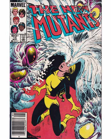The New Mutants Issue 15 Marvel Comics Back Issues 071486022077