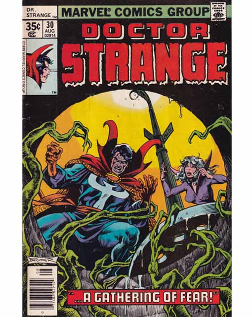 Doctor Strange Issue 30 Vol. 1 Marvel Comics Back Issues 071486029144
