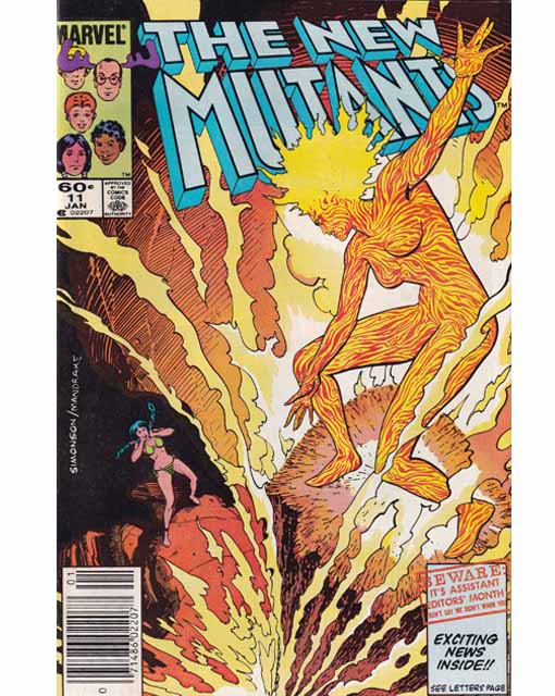 The New Mutants Issue 11 Marvel Comics Back Issues 071486022077