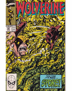 Wolverine Issue 22 Marvel Comics Back Issues 071486022541