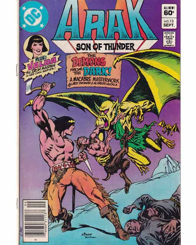 Arak Son Of Thunder Issue 13 DC Comics Back Issues 070989311138