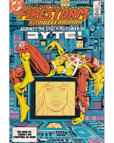The Fury Of Firestorm Issue 23 DC Comics Back Issues 