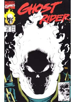 Ghost Rider Issue 15 Vol. 2 Marvel Comics Back Issues