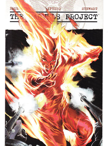 The Marvels Project Issue 2 Of 8 Marvel Comics Back Issues